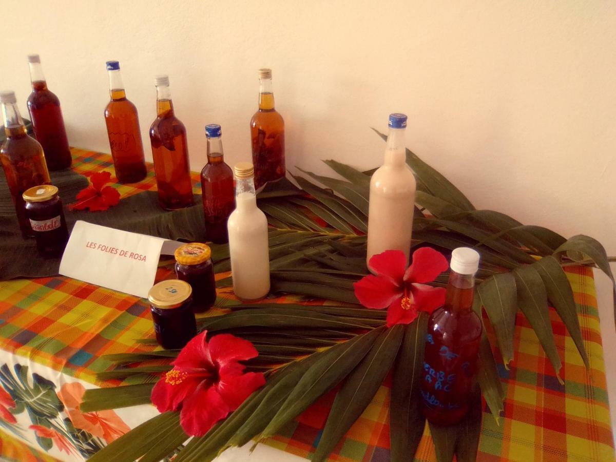 Villa Tournesol D Or Le Gosier  Εξωτερικό φωτογραφία